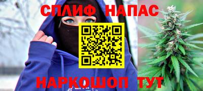 Альфа ПВП Камышлов