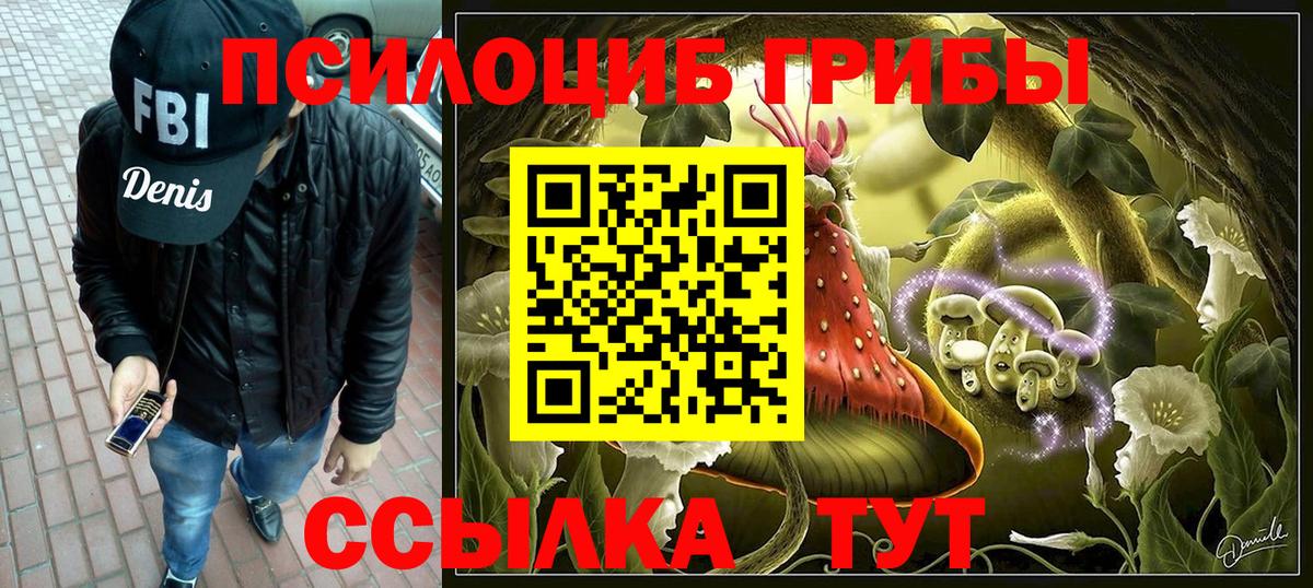 Галлюциногенные грибы Psilocybe  Вход с VPN  Арсеньев 
